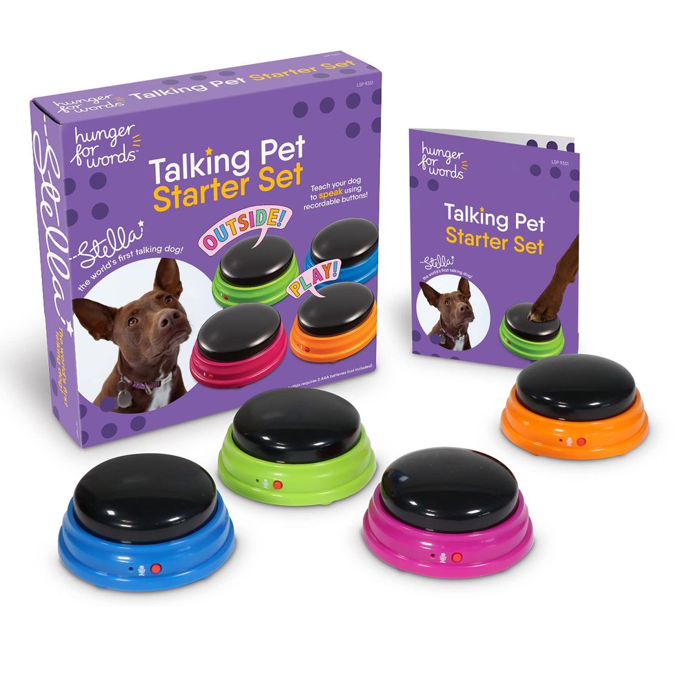 25 Best Gifts for Dogs and Dog Lovers