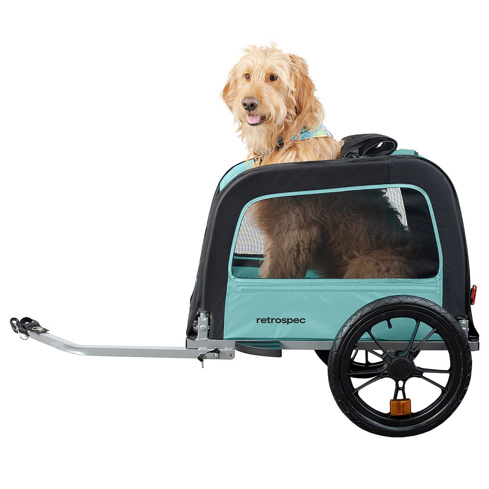 The 6 Best Pet Strollers for 2023 - Pet Strollers for Dogs & Cats