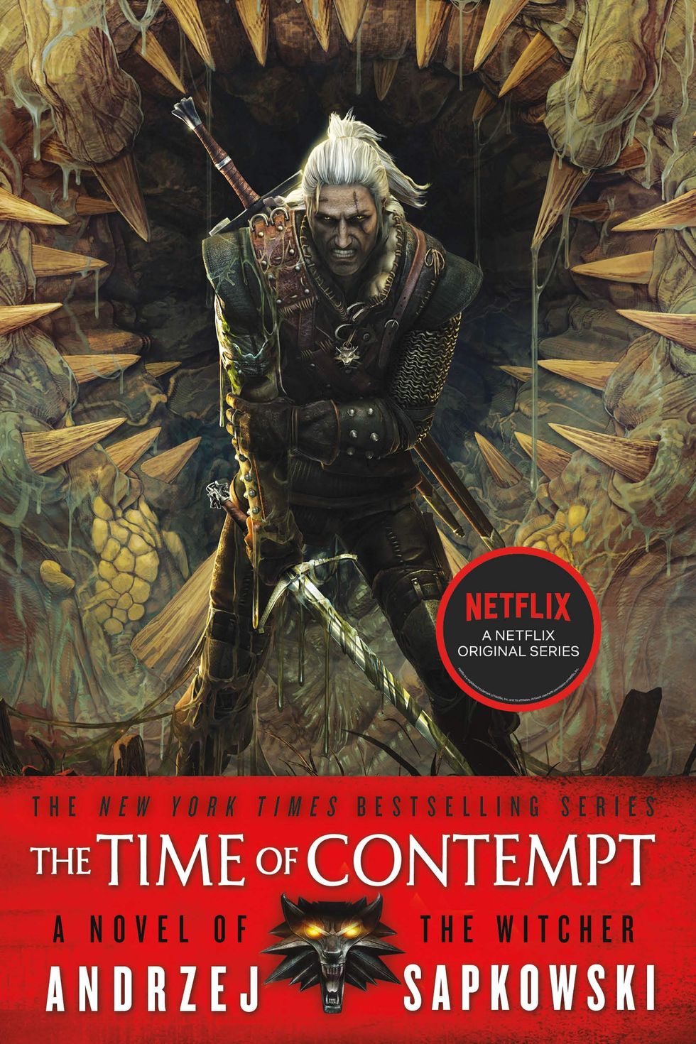 The Time of Contempt (The Witcher, Book 4)