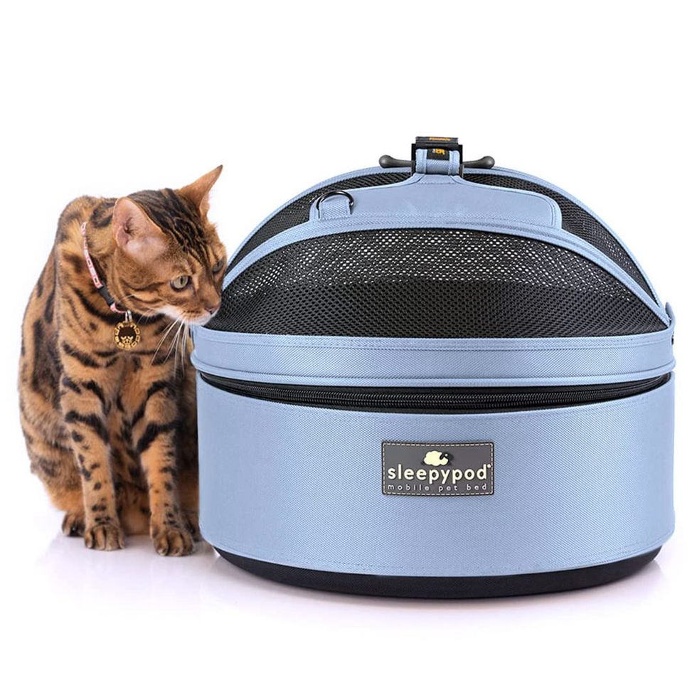 10 Best Cat Carriers of 2024, Reviewed by Experts