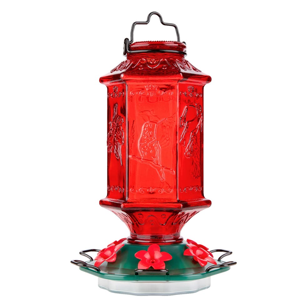 Lantern Bottle Hummingbird Feeder