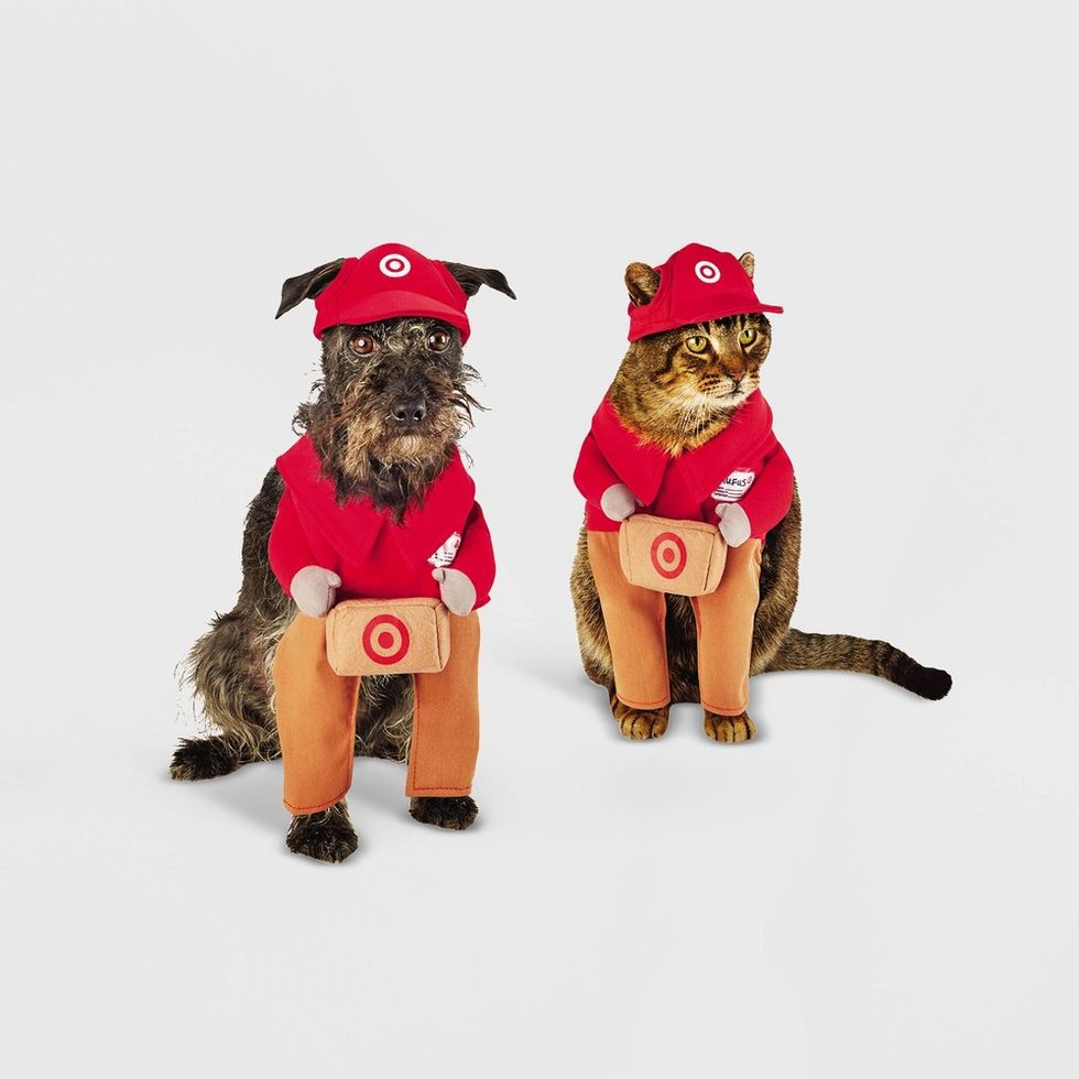 Target Delivery Dog and Cat Costume