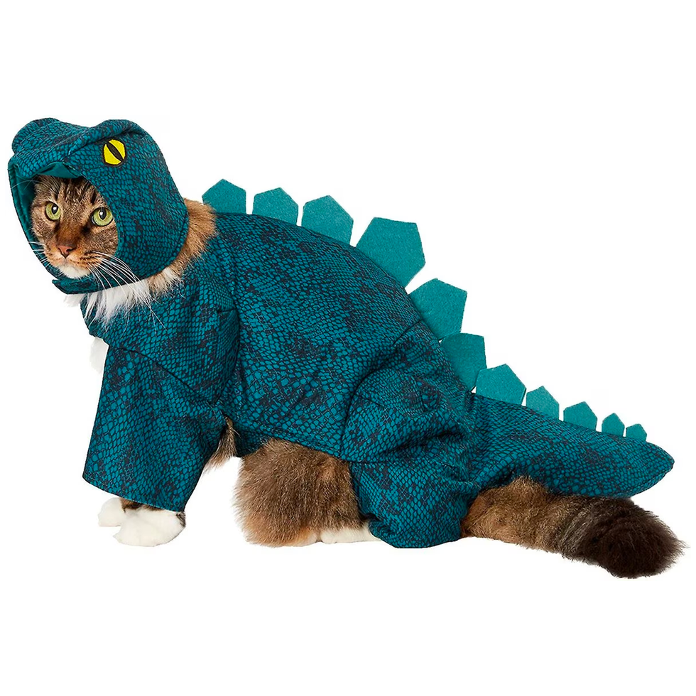 Stegosaurus Dinosaur Cat Costume
