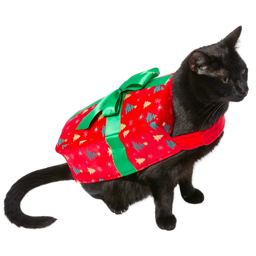 Holiday Giftbox Cat Costume