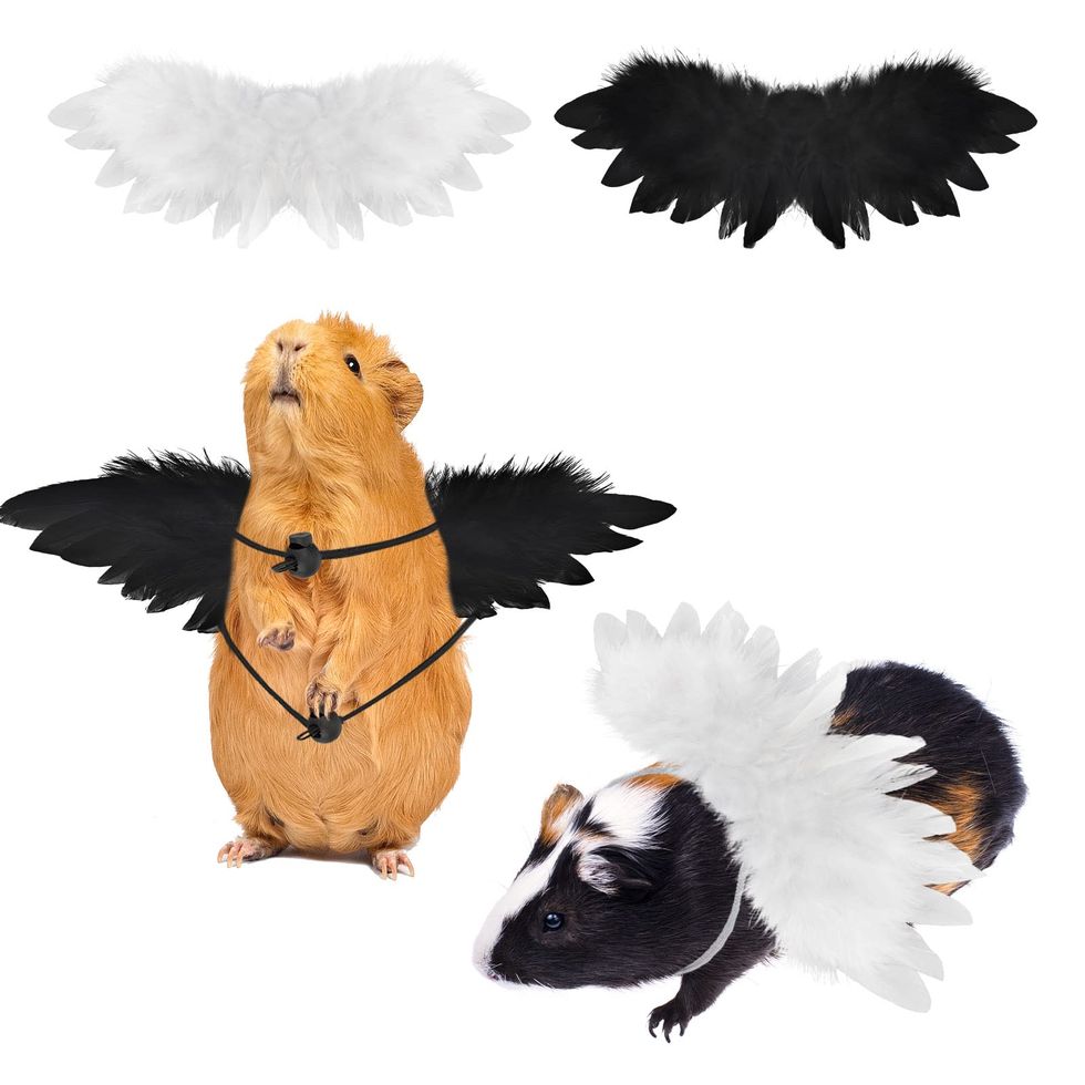 Angel Wings Costume for Hamsters