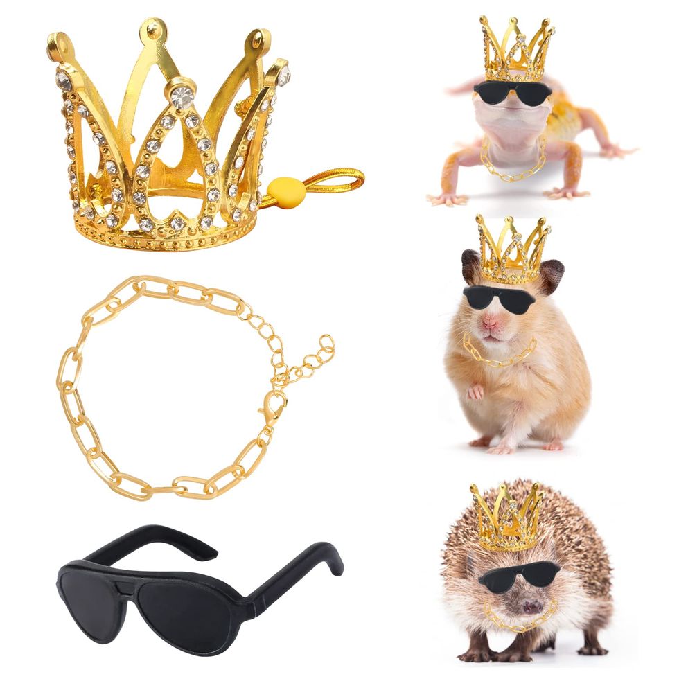Cool Prince Costume for Hamster