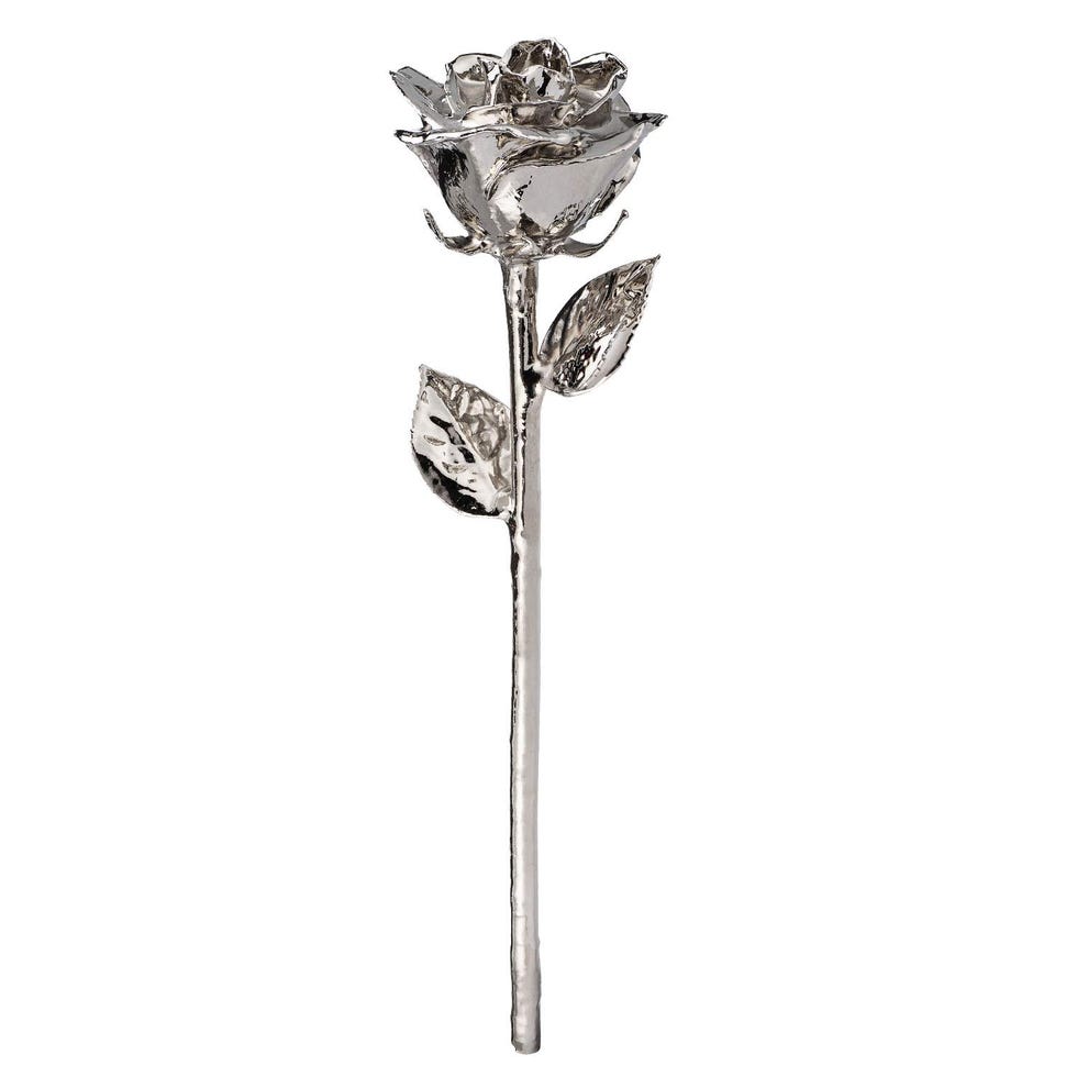 Real Platinum Rose 