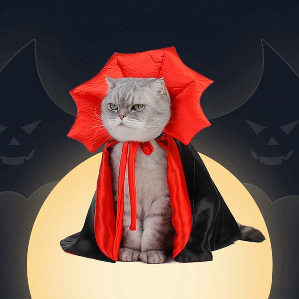 cats wearing costumes