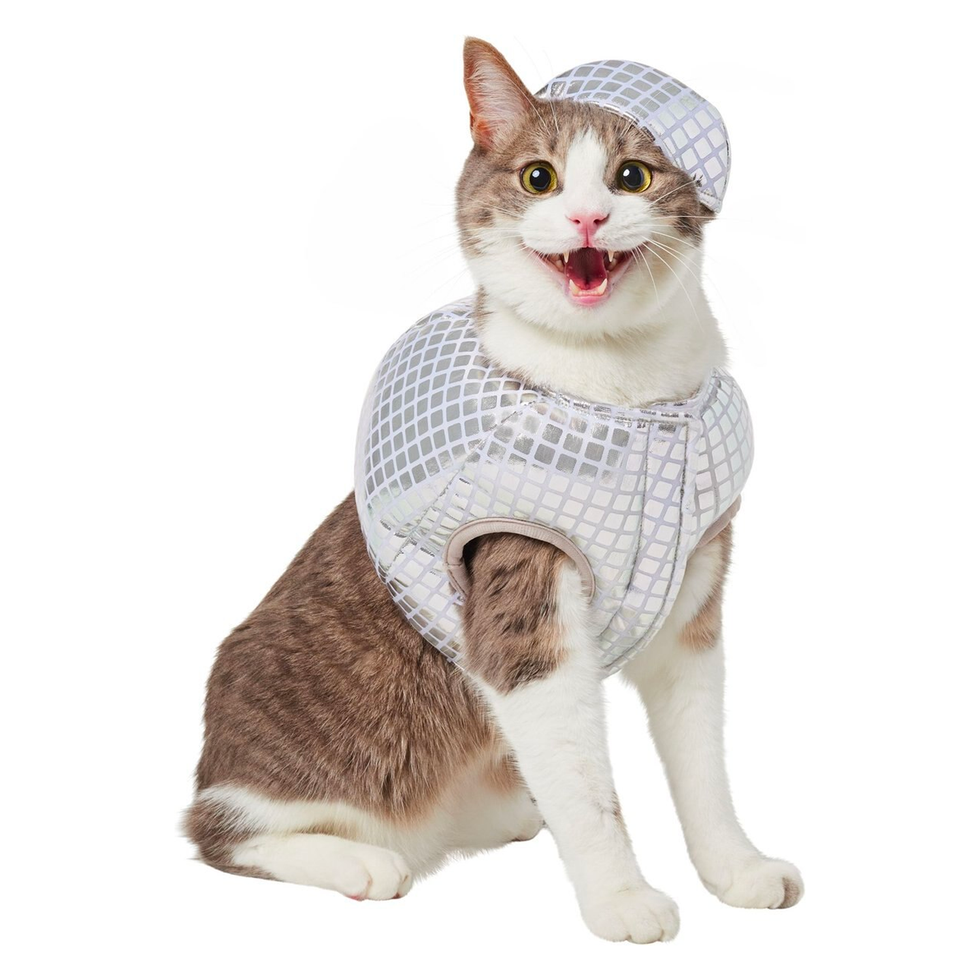 40 Best Halloween Costumes For Cats 2023 — Best Cat Costumes 40 Best Halloween Costumes For Cats 2023 — Best Cat Costumes