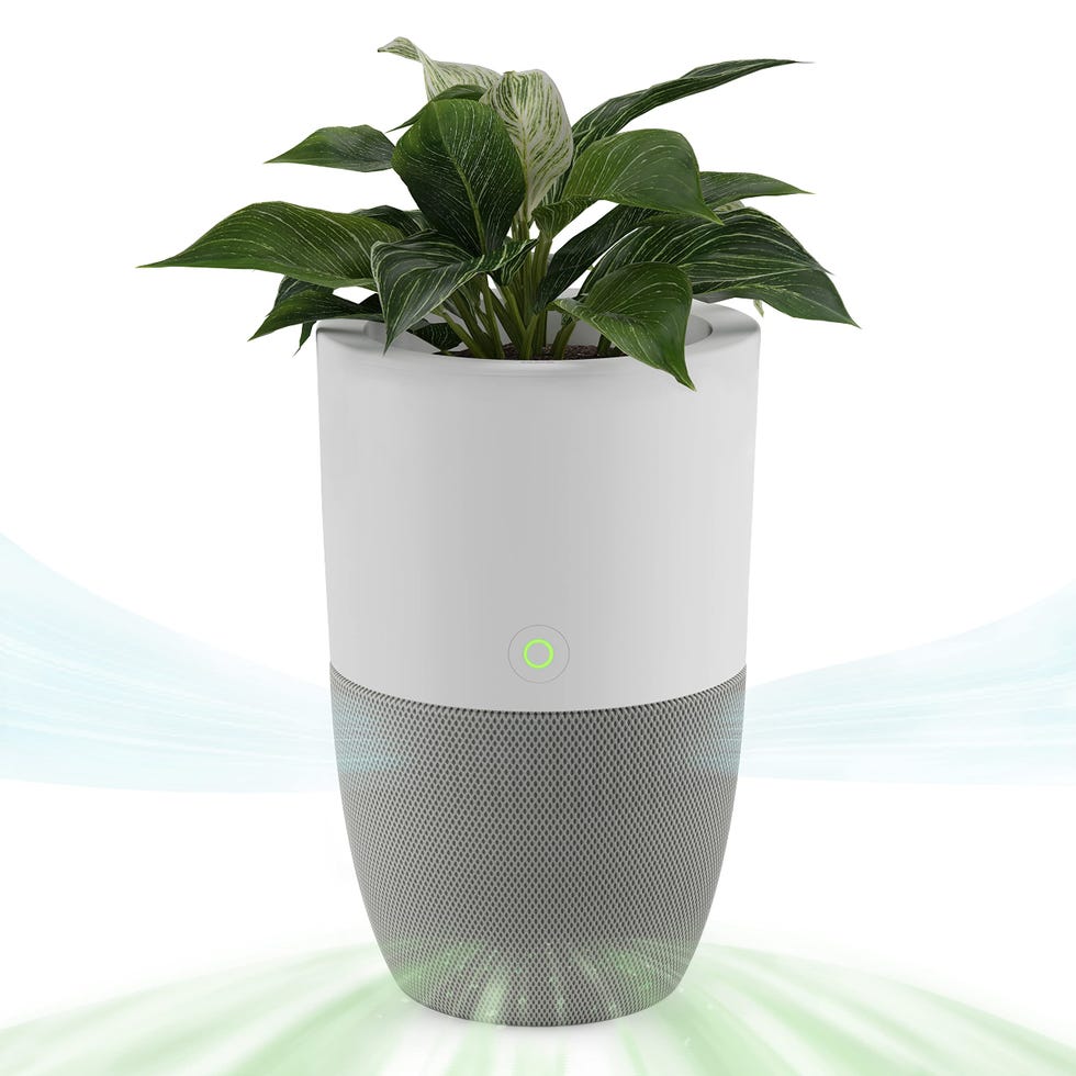 Bloom Air Purifier Bloom Air Purifier