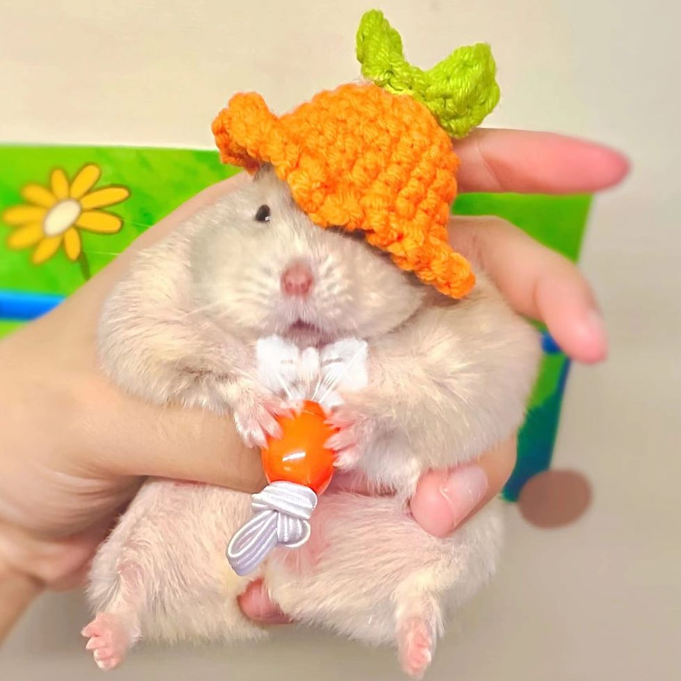 Carrot Hamster Costume