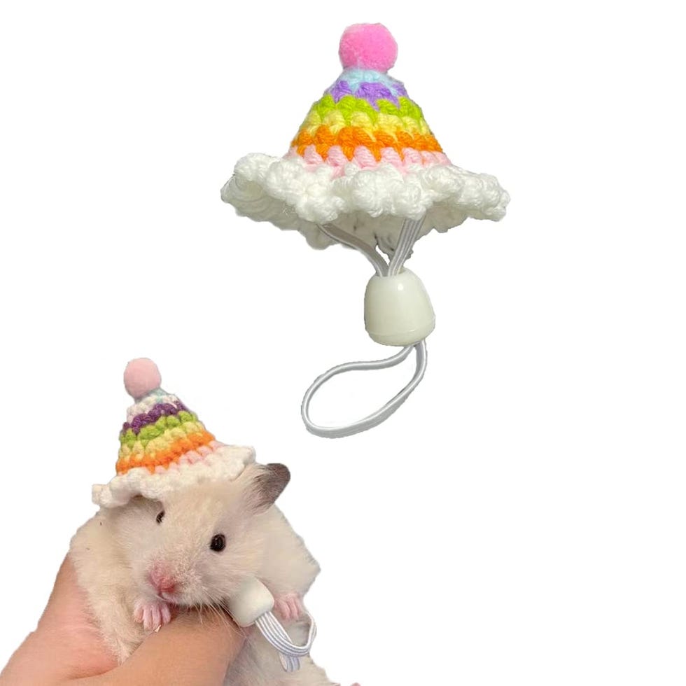 Party Animal Hamster Costume