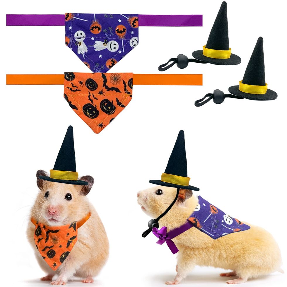 Witch Hat and Halloween Bandana Set for Hamsters