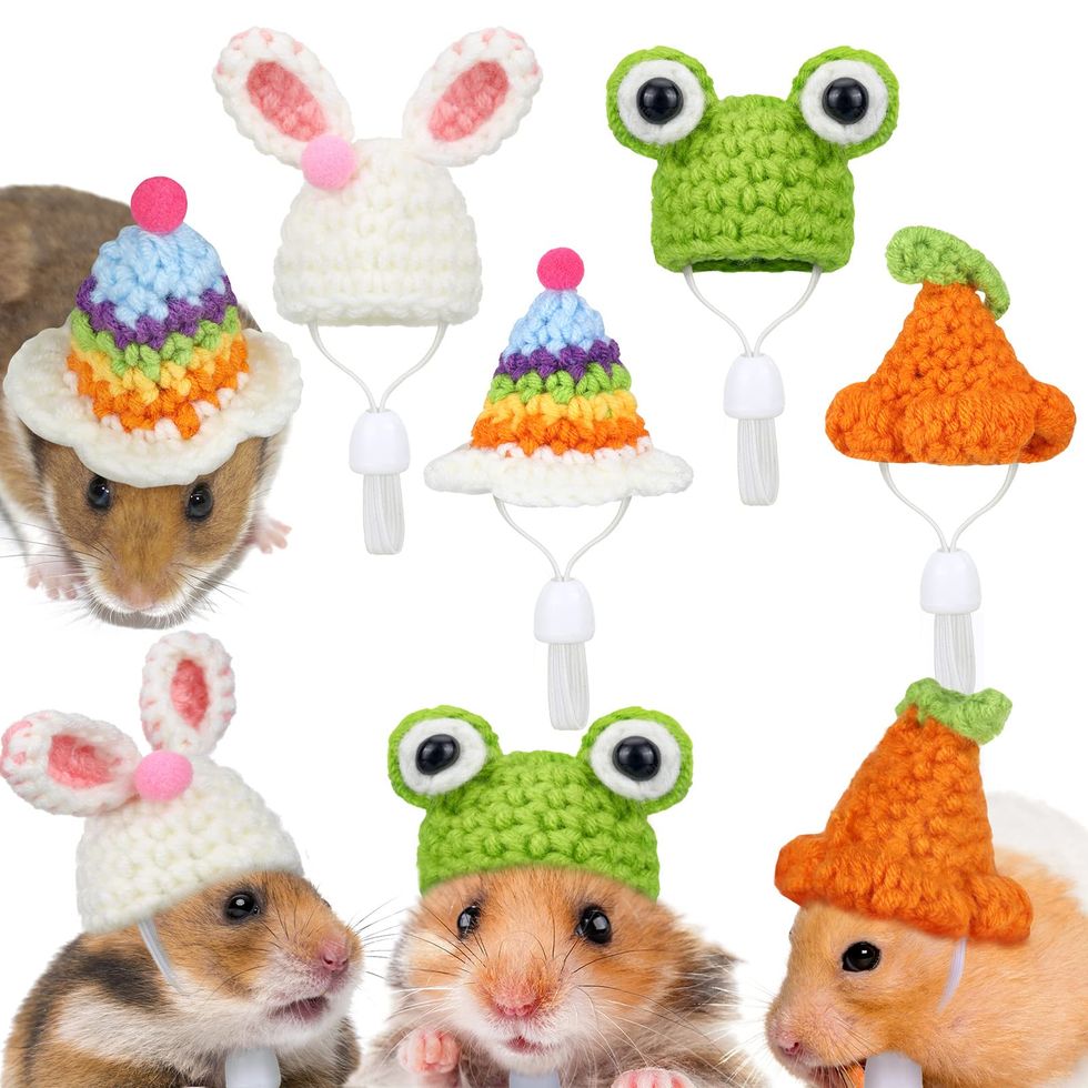 4-Piece Hand Knitted Hamster Hat Set (Frog, Bunny, Rainbow, Carrot)