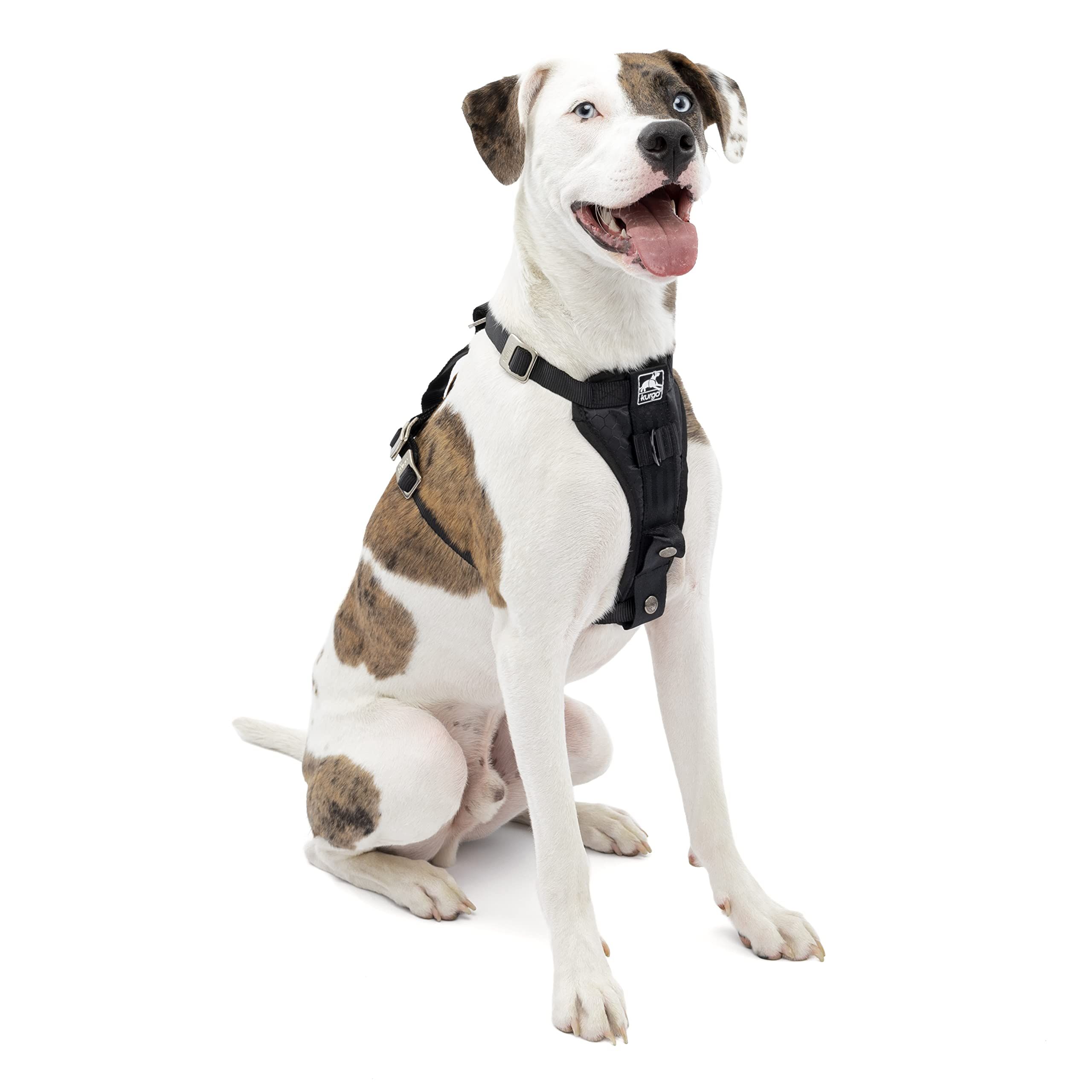 Best dog harness outlet 2018