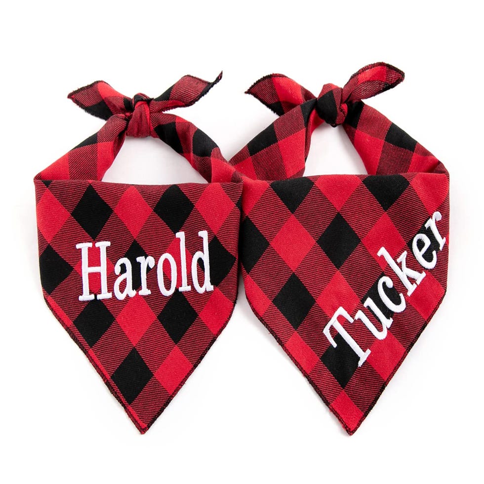 Personalized Dog Bandana 