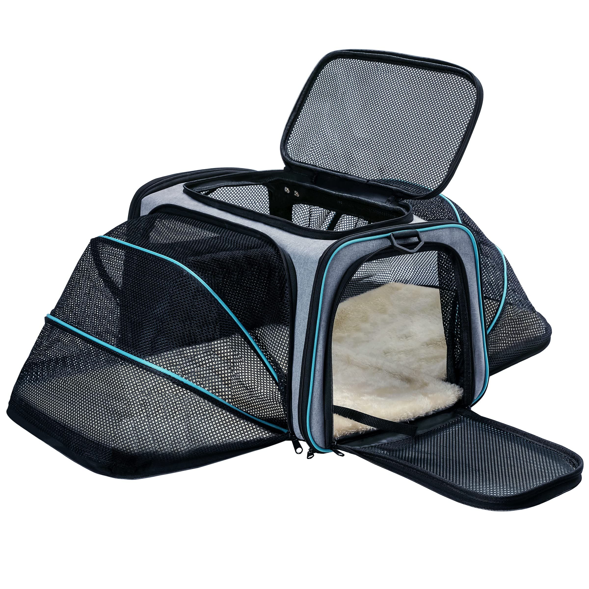 Best soft sided pet hot sale carrier