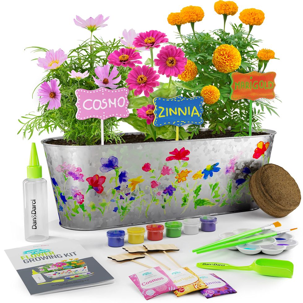 Paint & Plant Flower Craft Kit 