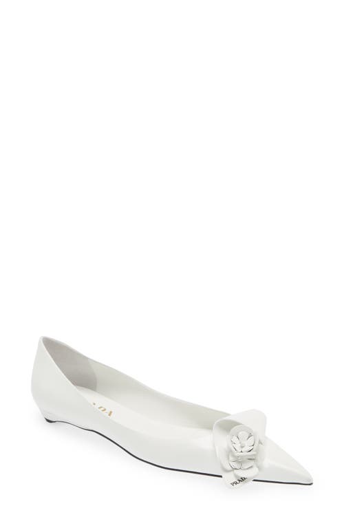 Prada Loop Bouquet Pointed Toe Flat in White at Nordstrom, Size 12Us