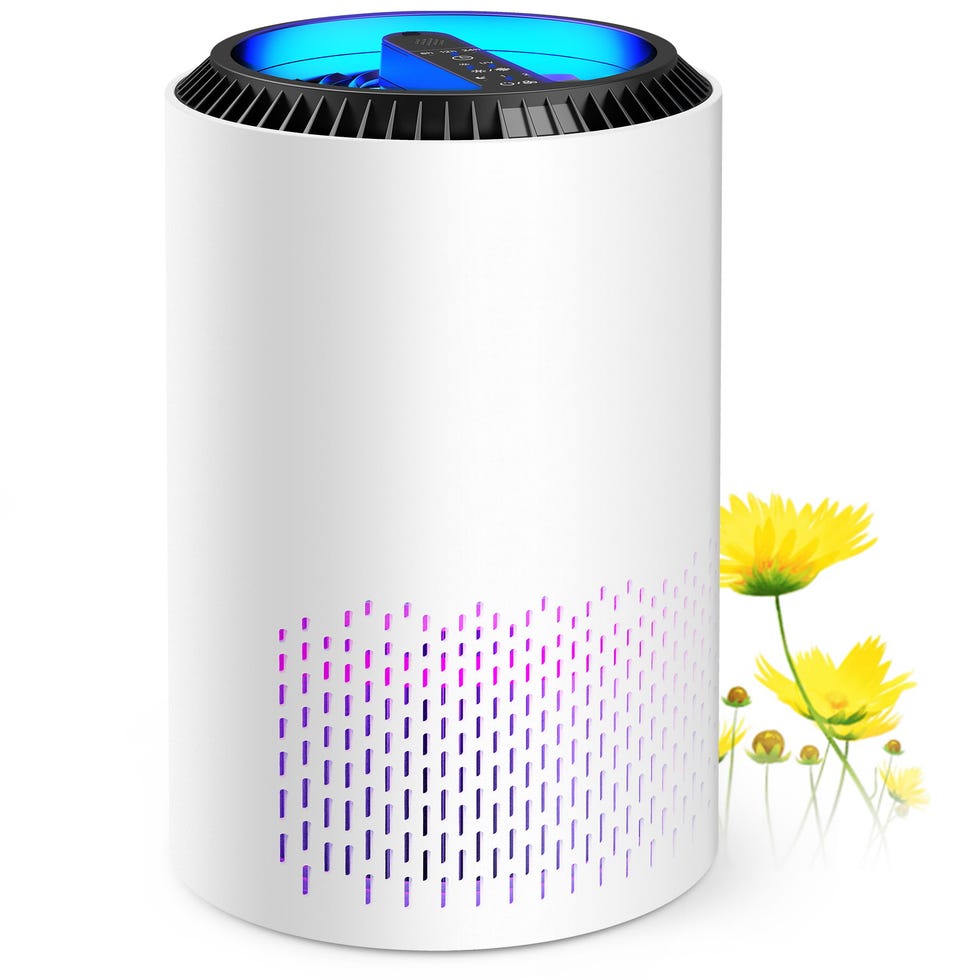 HEPA Air Purifier with Light