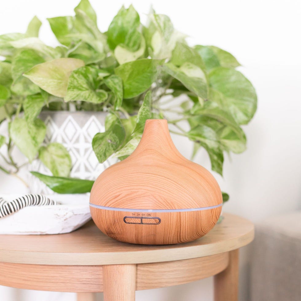 Aromatherapy Diffuser and Essential Oil Set 
