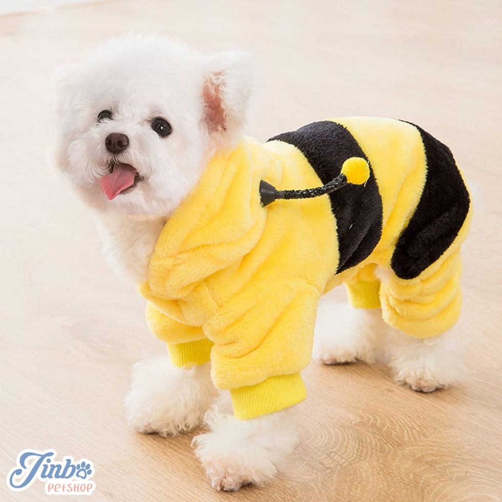 Bumble Bee Halloween Full Body Dog Costume