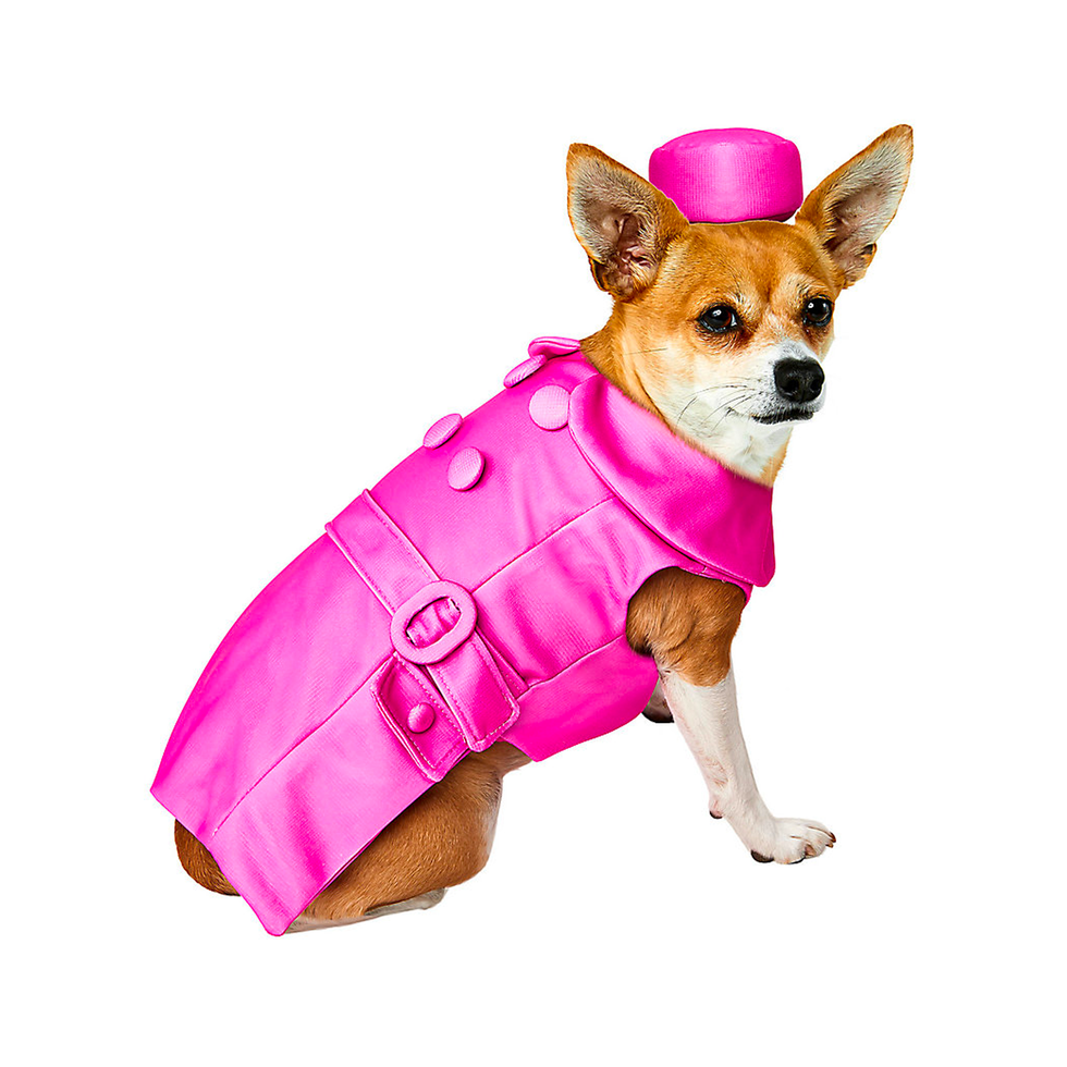 20 Actually Clever Pet Halloween Costumes