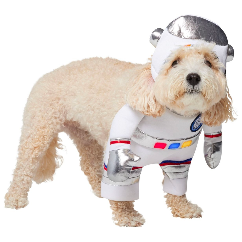 Front Walking LED Astronaut Dog Costume