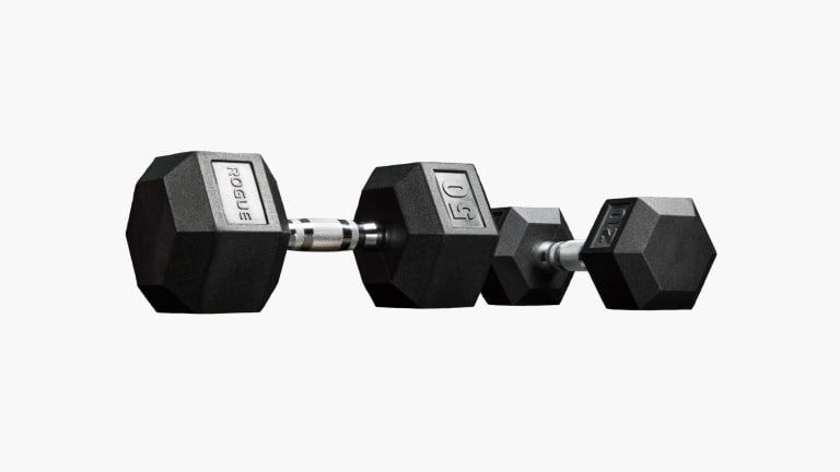 Rogue 2025 weights dumbbells