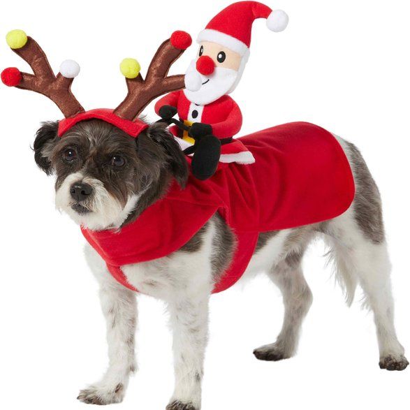 Santa Rider Dog & Cat Costume