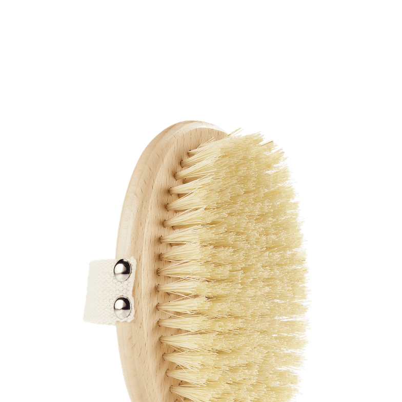 11 Best Body Brushes for Exfoliating: Brighten and Enhance Your Skin – WWD