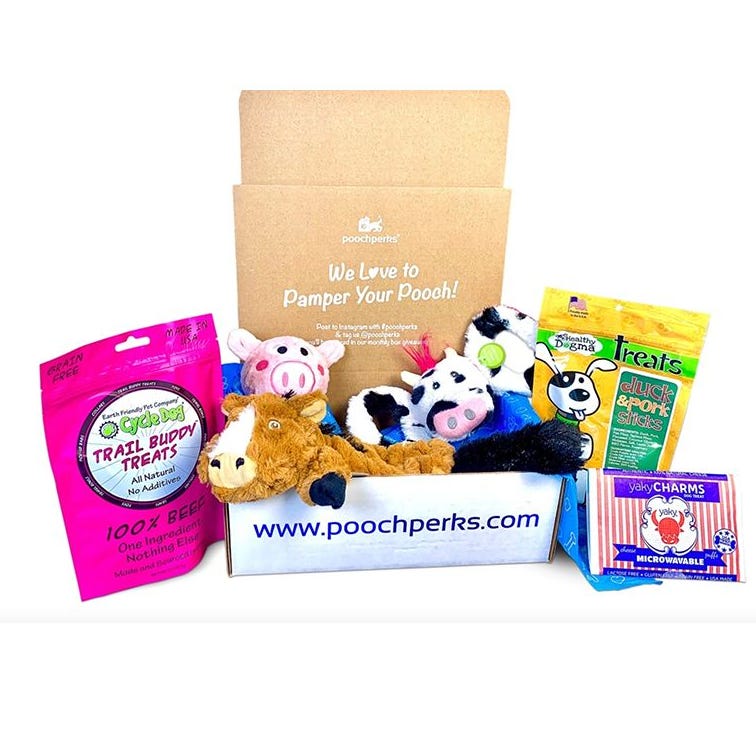 Pooch Perks Dog Subscription Box