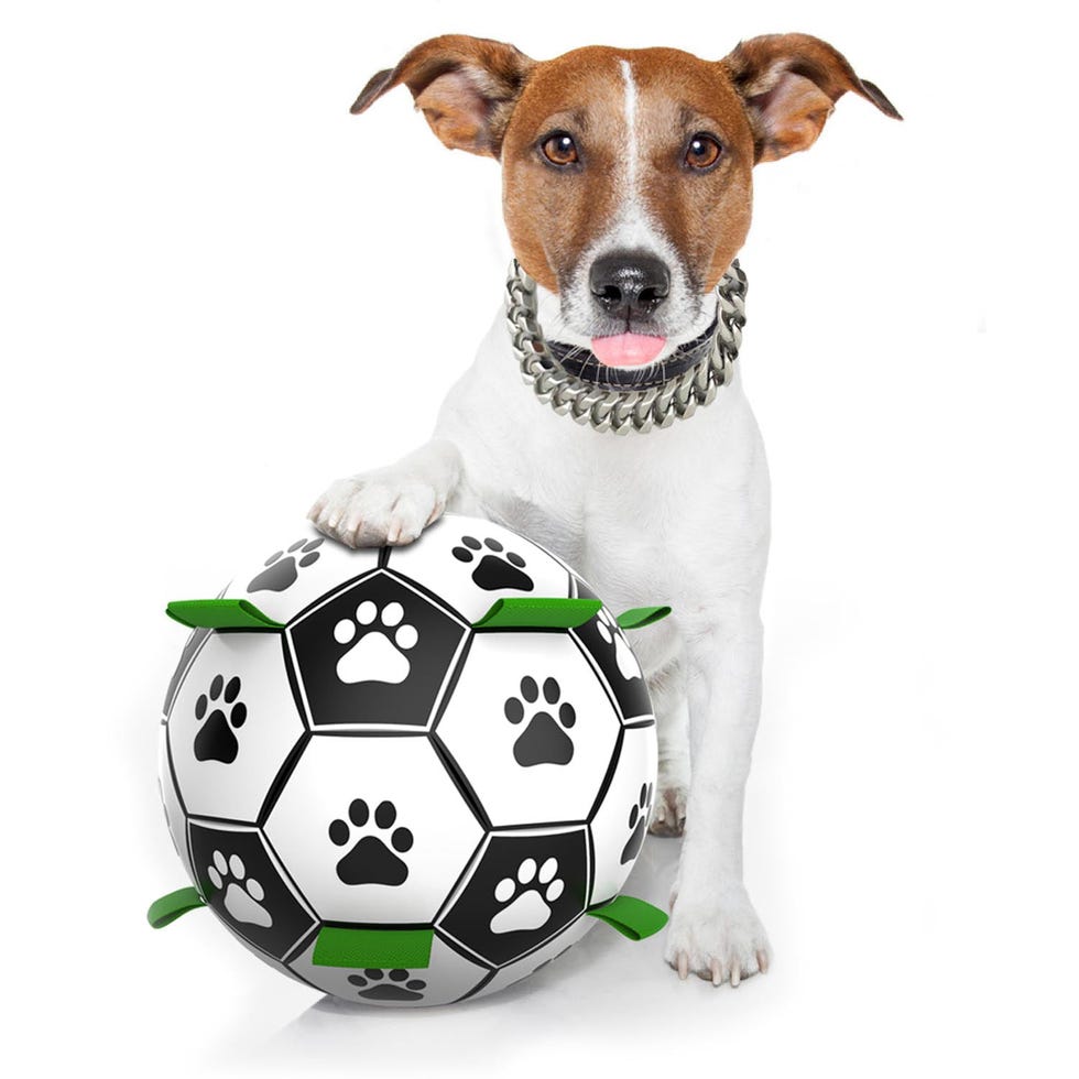 Dog Soccer Ball with Grab Tabs