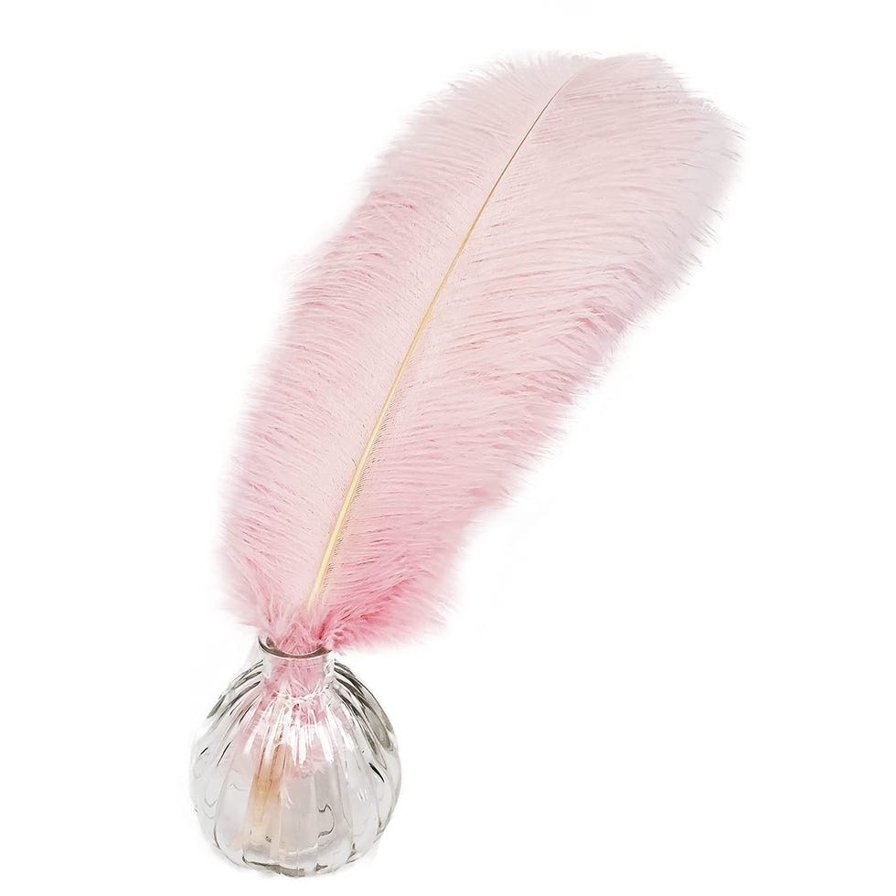 Craft Feathers (Pack of 10)