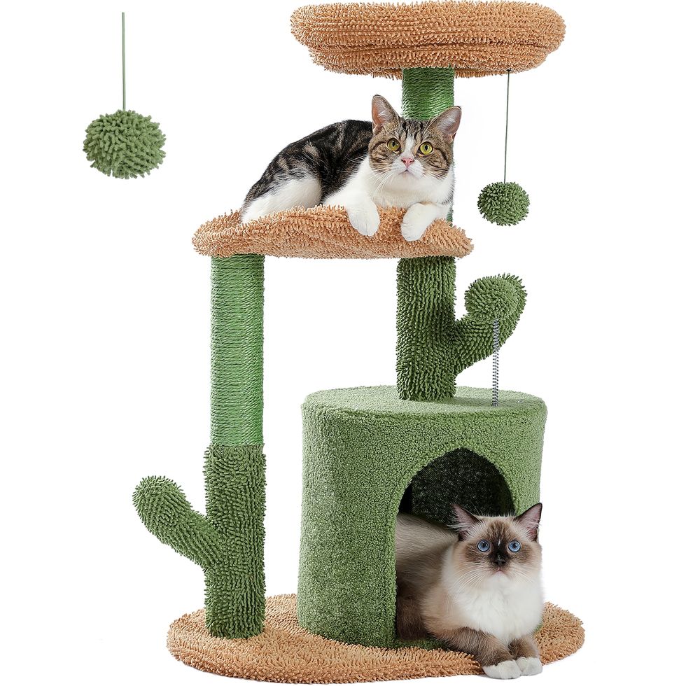 Cat Tree Tower with Scratching Post