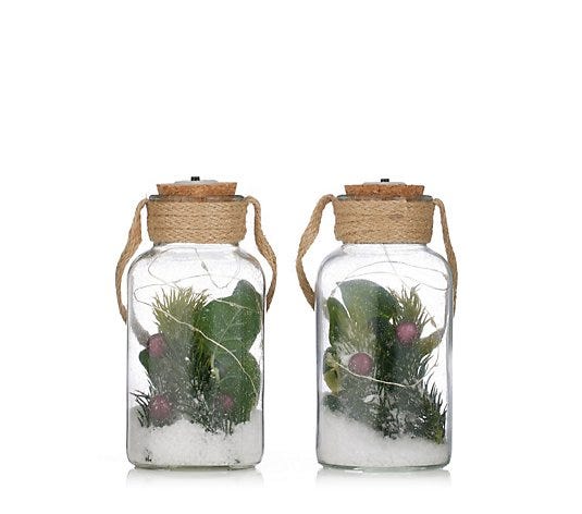 Sara Davies Set of 2 Pre-Lit Foliage Glass Jars