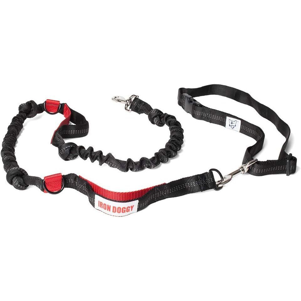 Best dog store running leash