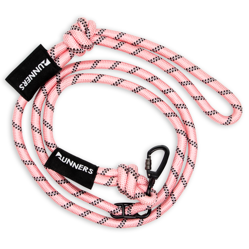 Runner's leash outlet dog