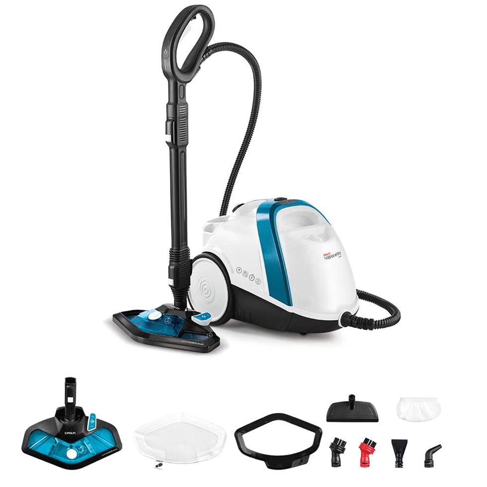 The Virus And Germ Destroying Convertible Steam Cleaner