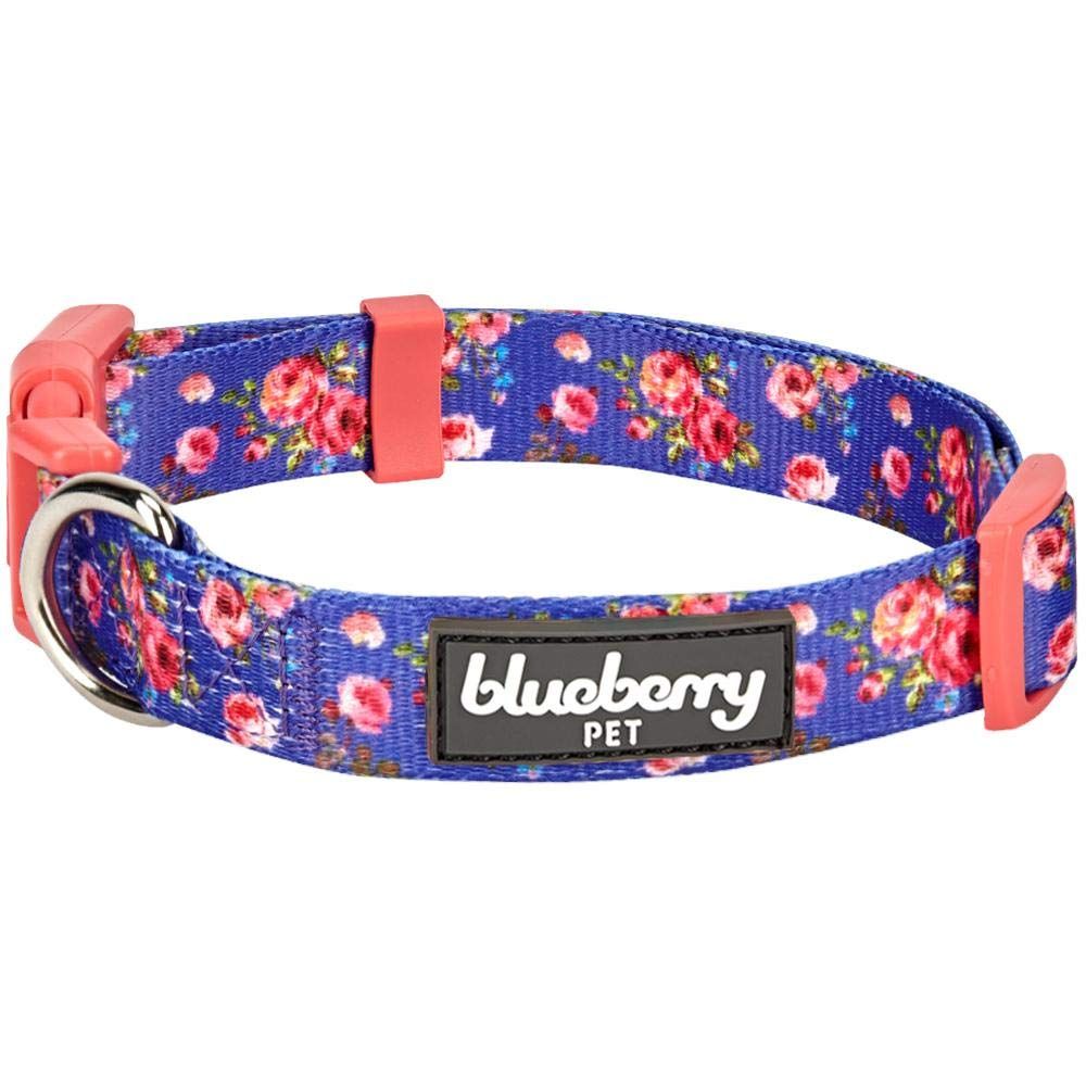 A little outlet unique dog collars