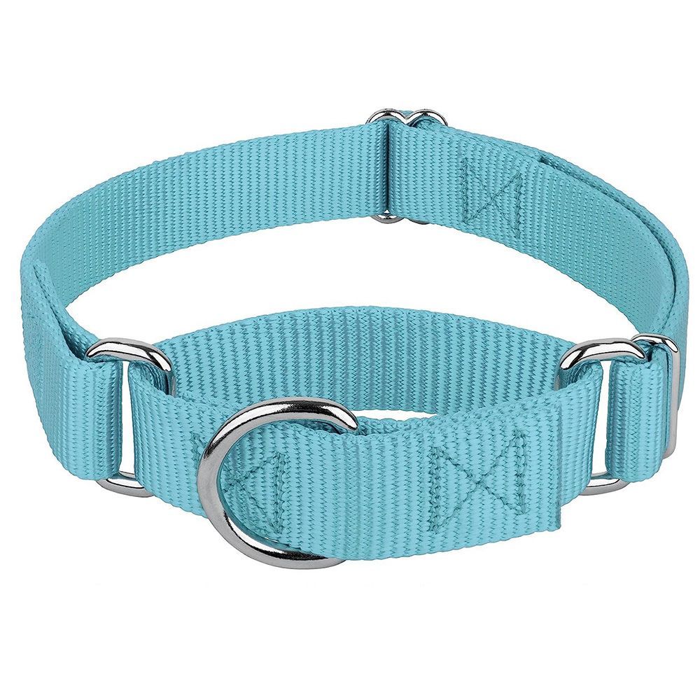 Best no slip sales dog collar