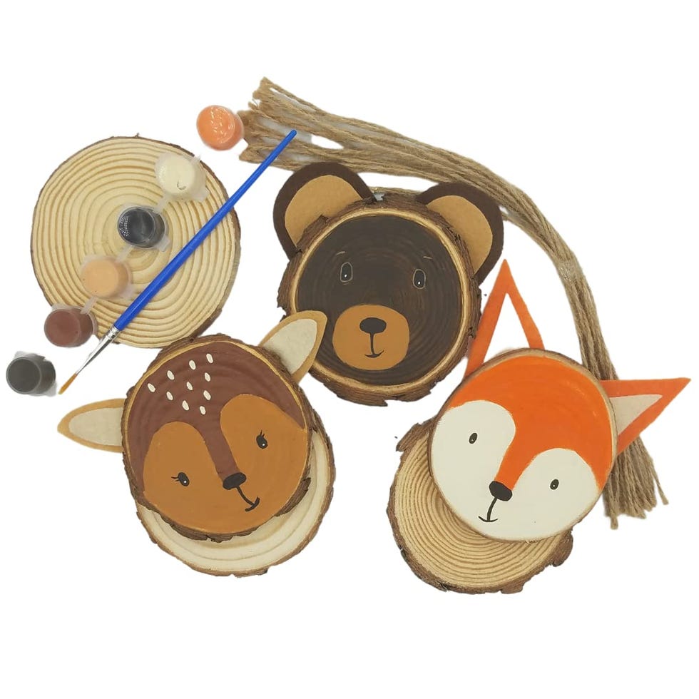 Woodland Creatures Painting Kit 