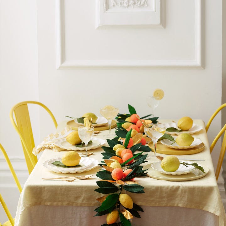 Citrus Fruit Garland