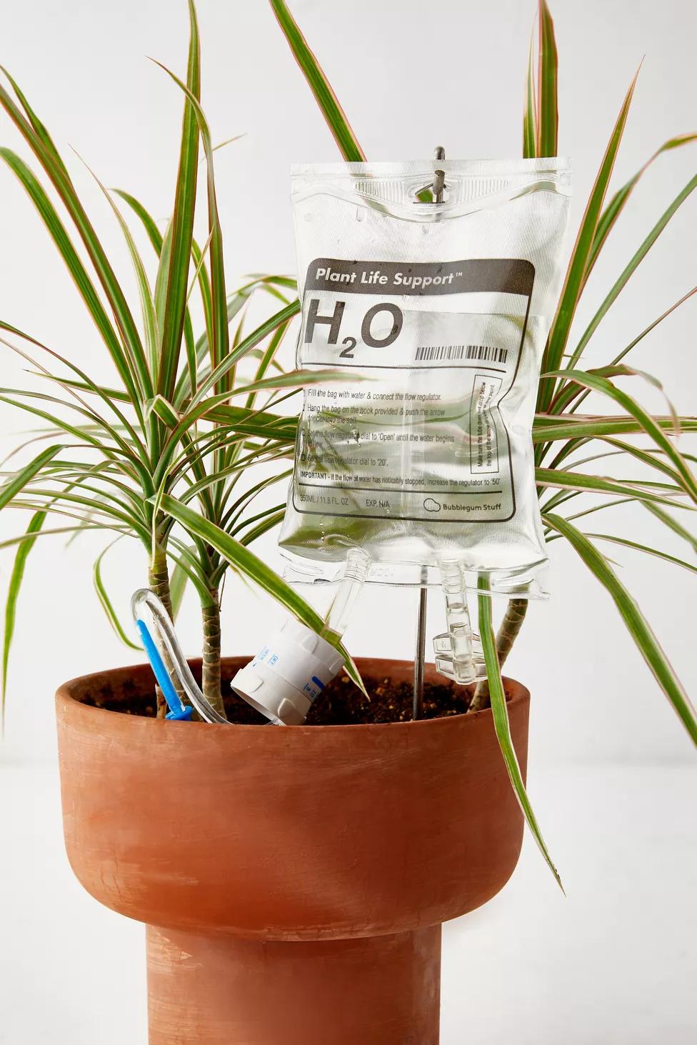 Plant Life Support Self-Watering Set