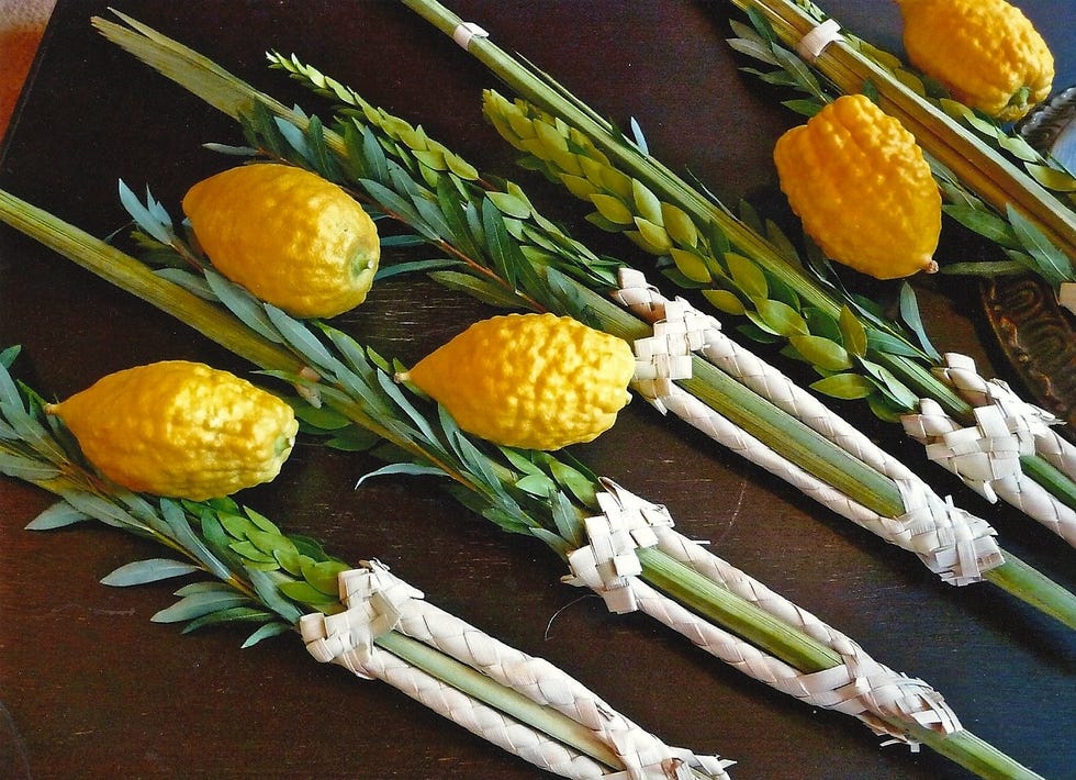 Kosher Certified Lulav and Etrog Set