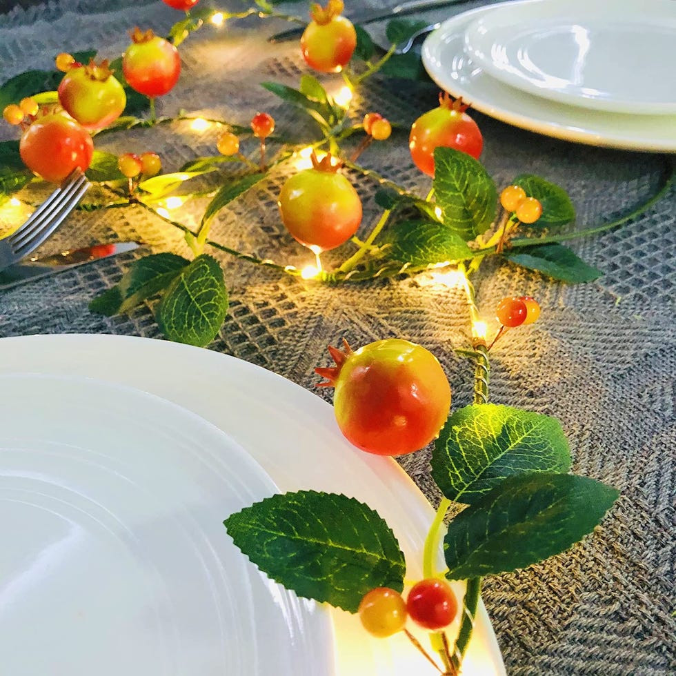 Pomegranate String Lights