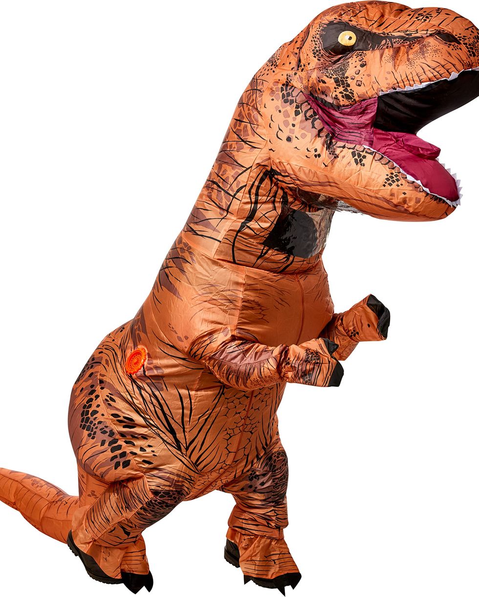 Teen Inflatable Dinosaur Costume