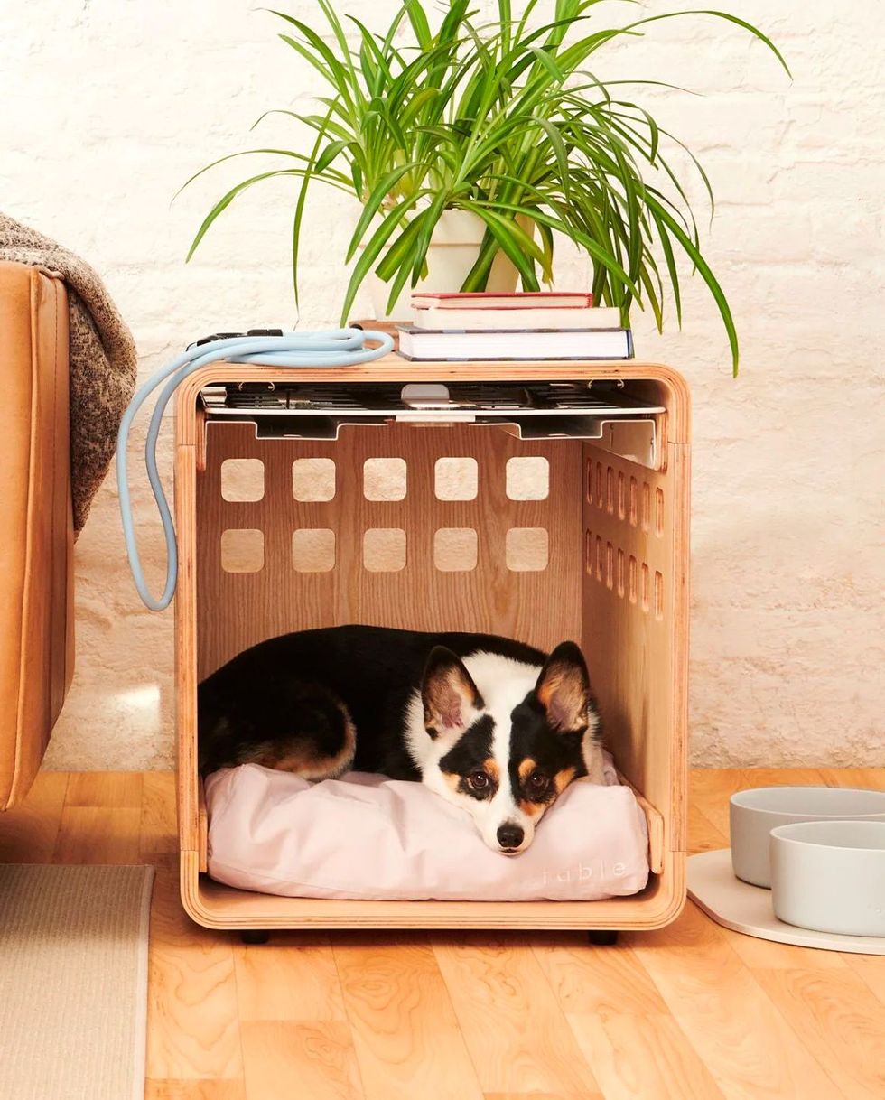 Best-Selling Rest Set (Dog Bed and Crate)