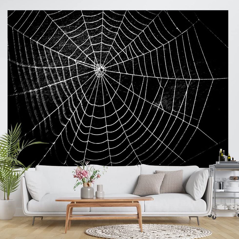 Spider Web Photography Backdrop