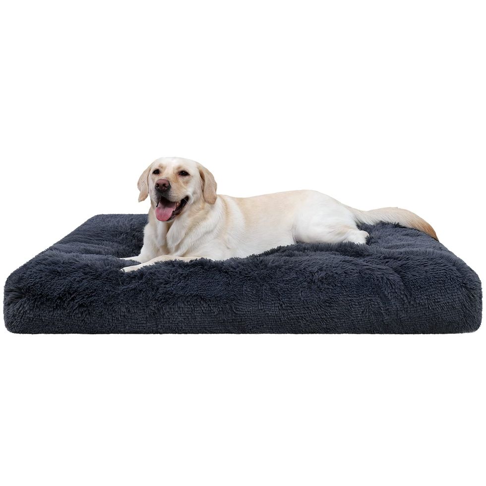 Washable Dog Bed for Large Dogs